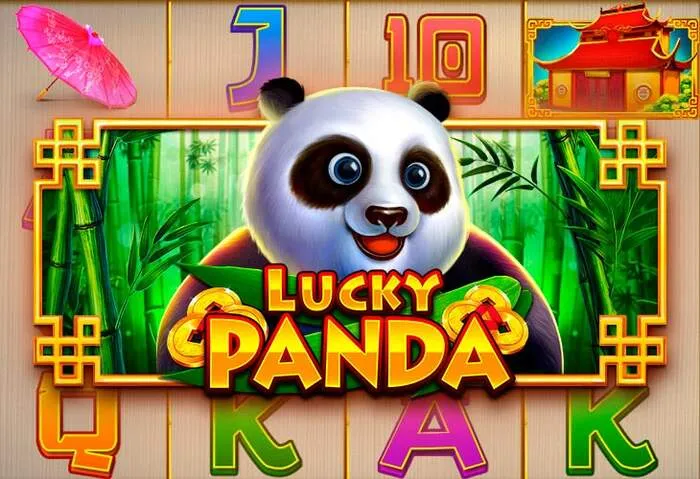 Nao Bet Live: giochi di casinò con croupier dal vivo